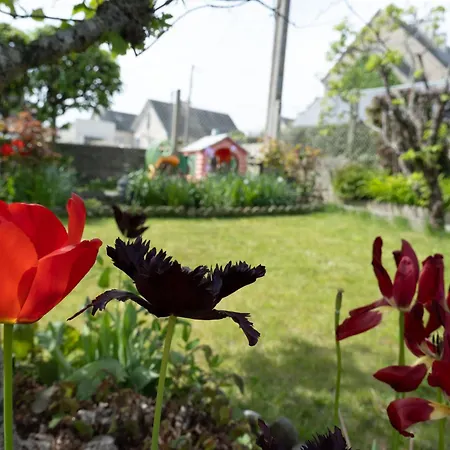 Vakantiehuis La Maison Marie-jo Charme & Douceur En Normandie Port-en-Bessin-Huppain